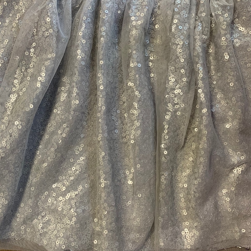 Silver sequin skirt